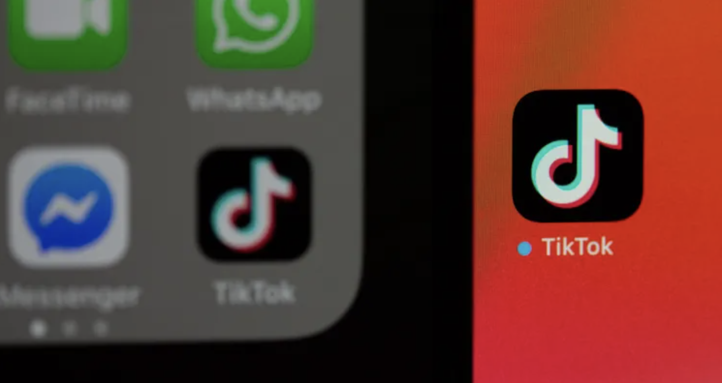 TikTok has officially announced the ‘Artist Impact Program